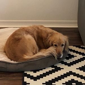 Meet your Posher, Lindsey